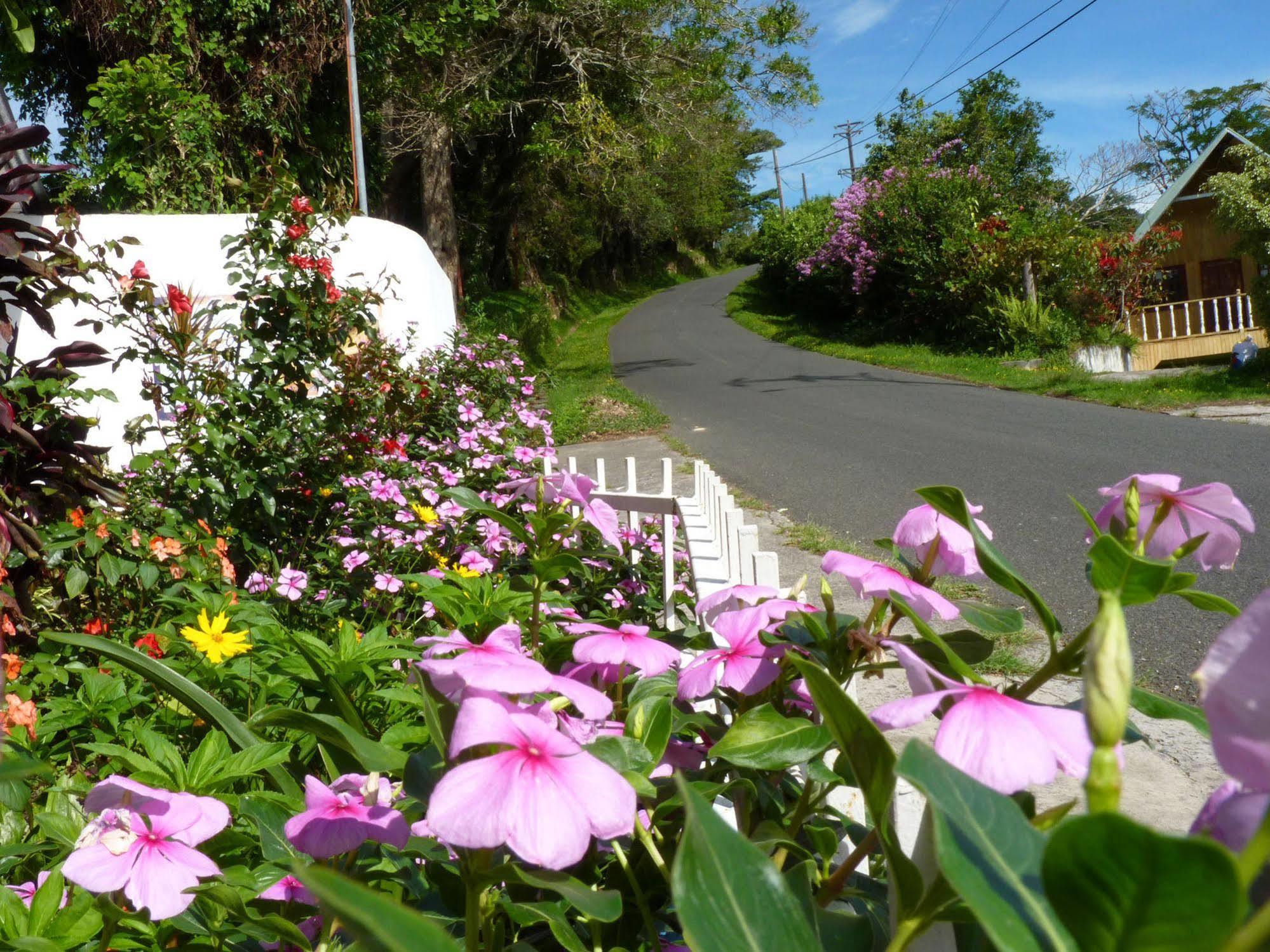 Autana Bed & Breakfast Boquete Εξωτερικό φωτογραφία